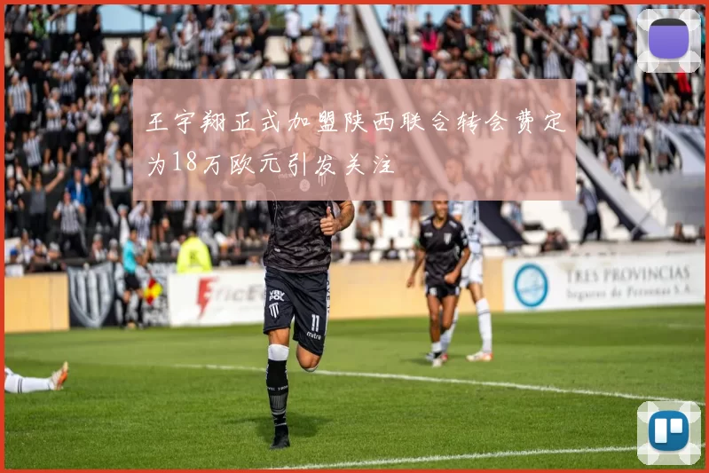 王宇翔正式加盟陕西联合转会费定为18万欧元引发关注